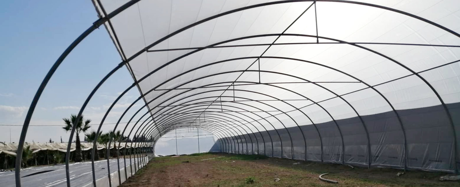 Serre Tunnel Pied Droit sur mesure